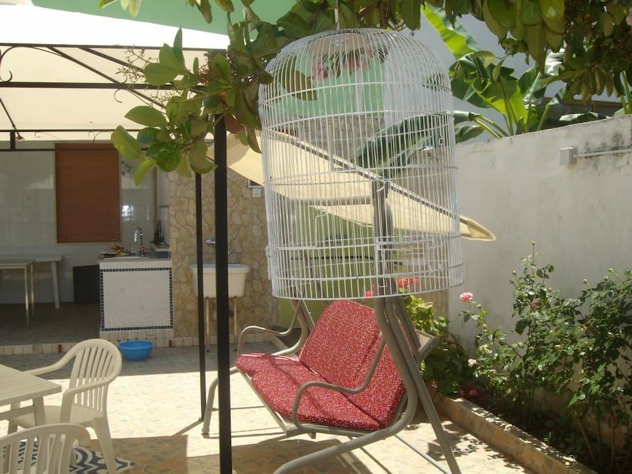 הוילה פורטו צ'זראו Villino Claudia 30 Mt Mare מראה חיצוני תמונה