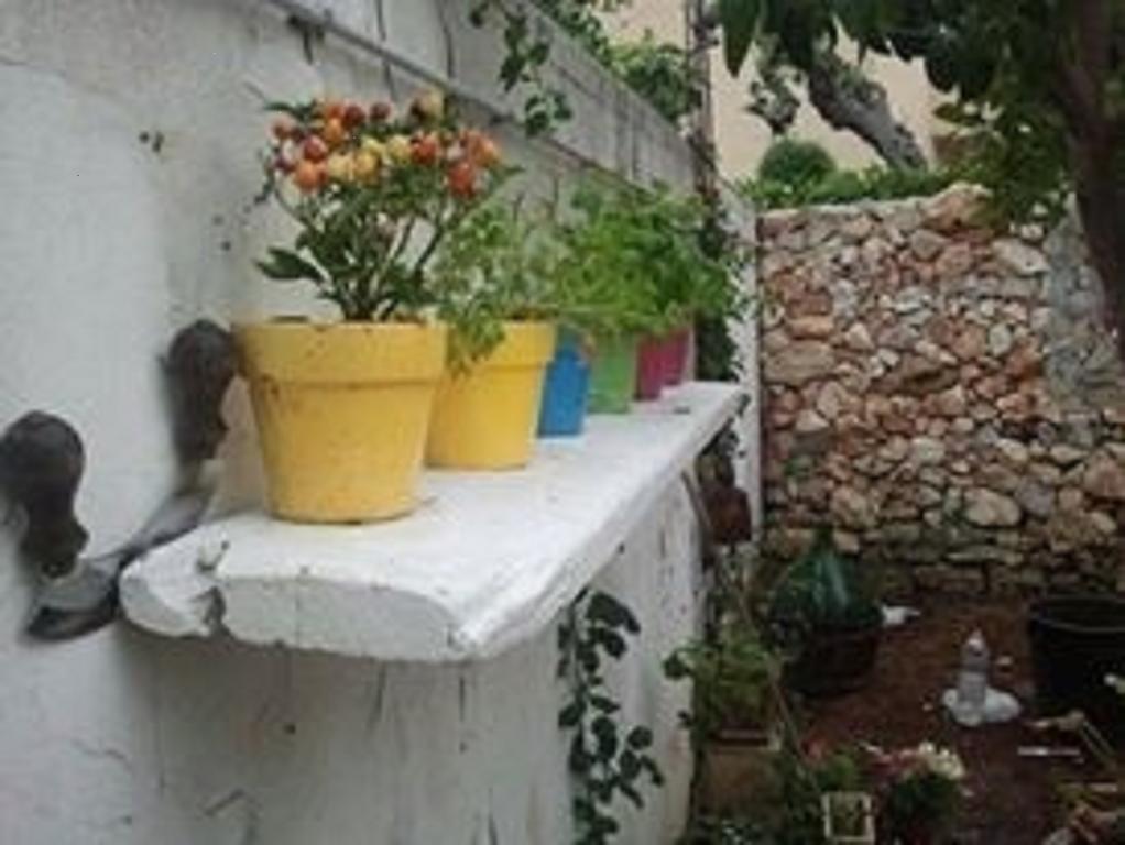 הוילה פורטו צ'זראו Villino Claudia 30 Mt Mare מראה חיצוני תמונה